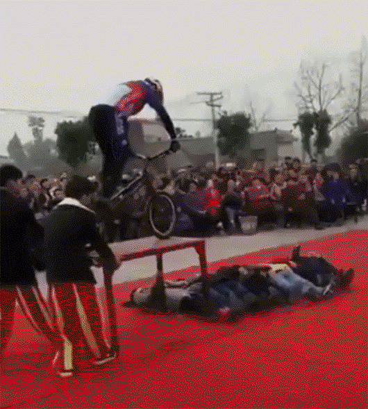 151222310838660.gif