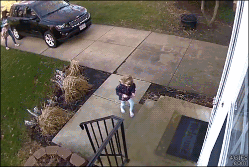151237626334525.gif