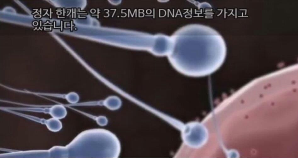 151238691530263.jpg