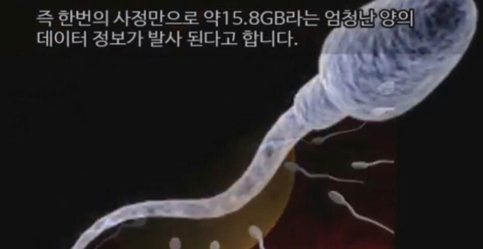 151238691579427.jpg