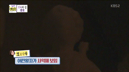 151238796181700.gif