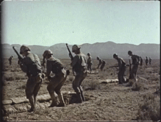 151254350440467.gif
