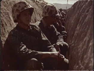 151254351414548.gif