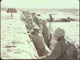 151254351875766.gif