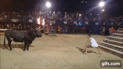 151297335827826.gif