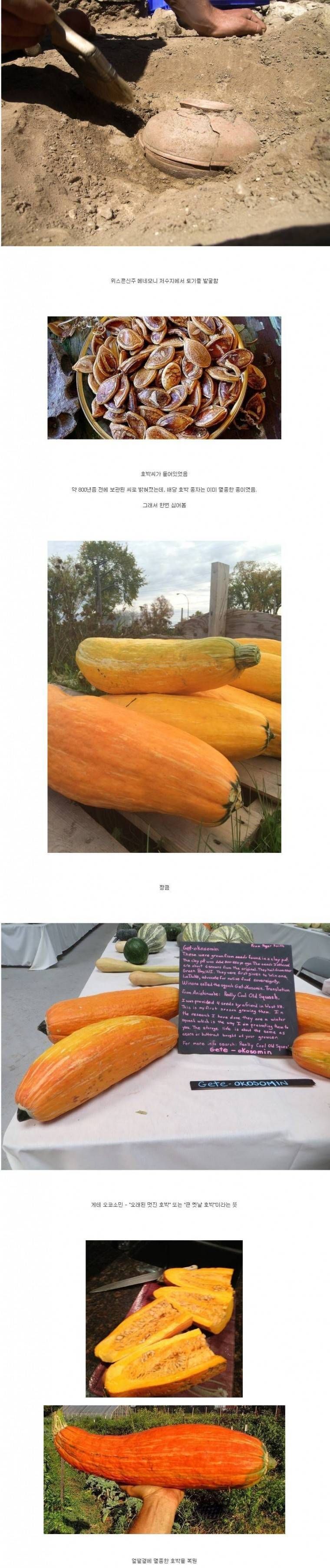 151298717071329.jpg