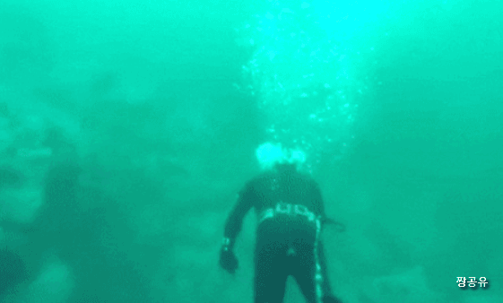 151305588517286.gif