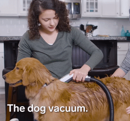 151305997180354.gif