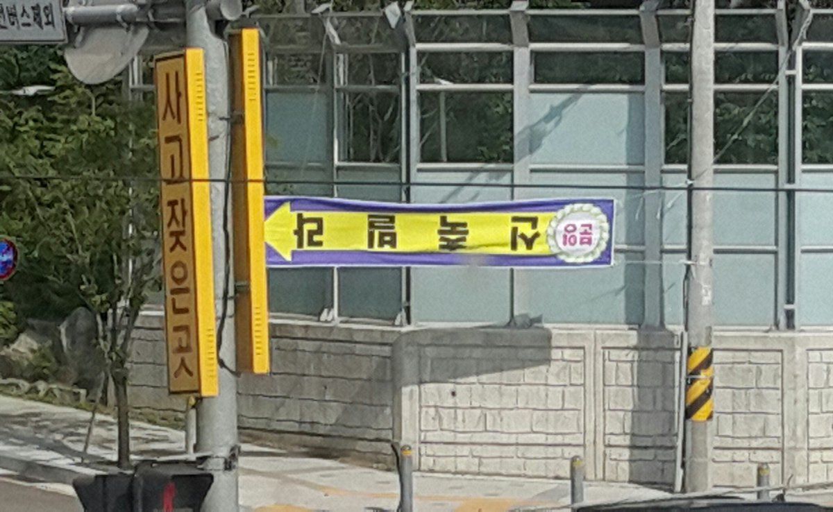 151332612575032.jpg