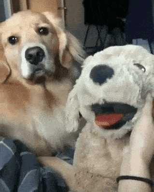 151332734678591.gif