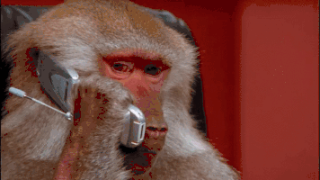 151333617383978.gif