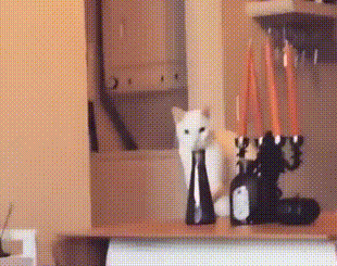 151333767810726.gif