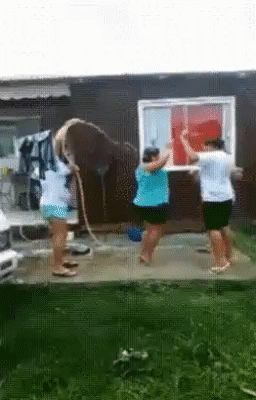 151333823043698.gif