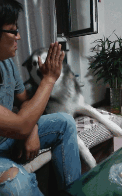 151360408491782.gif