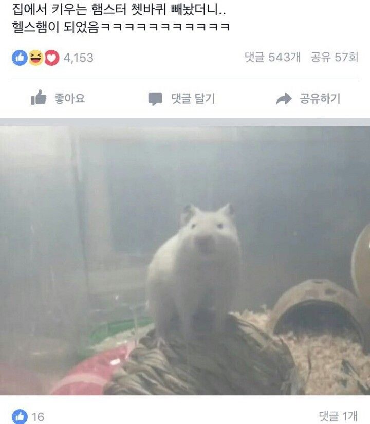 151441174590687.jpeg
