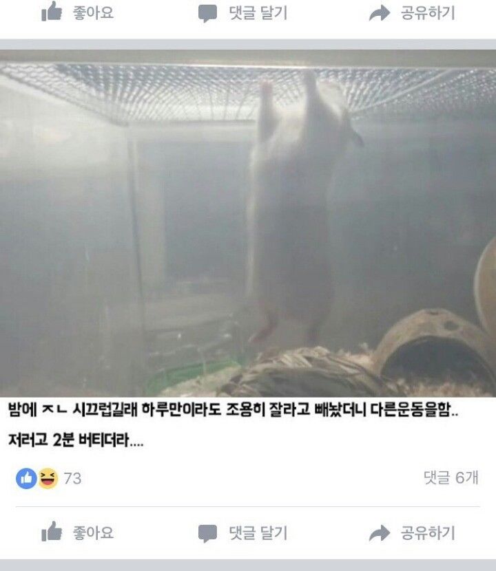 151441174697692.jpeg