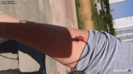 151441862456654.gif