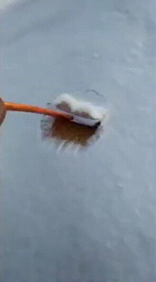 151515823121697.gif