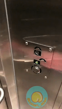 151601955584630.gif