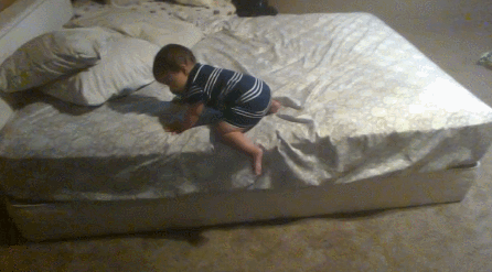 151636757659226.gif