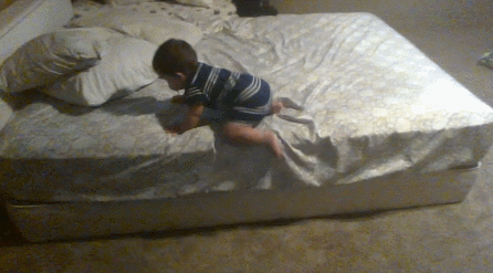151636760025944.gif