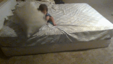 151636760439554.gif