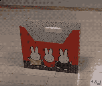 151644899315283.gif