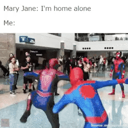 151677866313560.gif