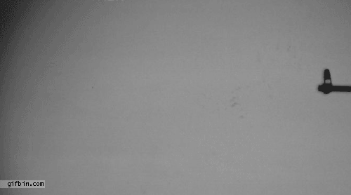 151677972422219.gif