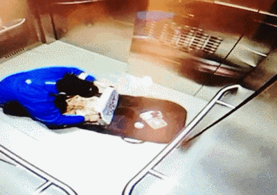 151687678259123.gif