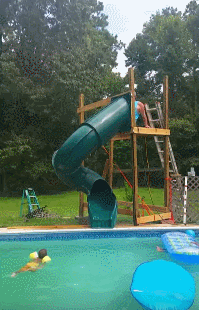 151697588337715.gif