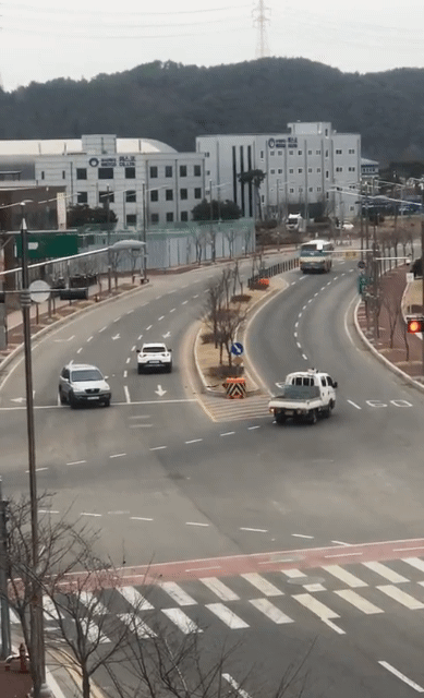 151698316917734.gif