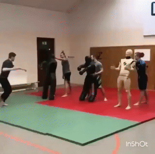 151722139286201.gif