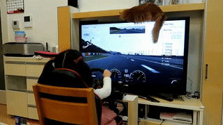 151722835778241.gif