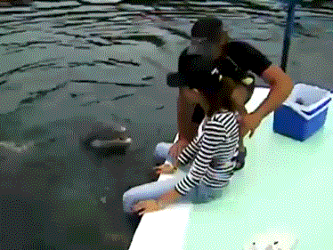 151774012428111.gif