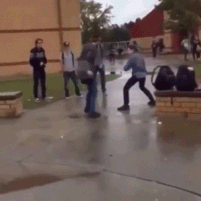 151798413249373.gif