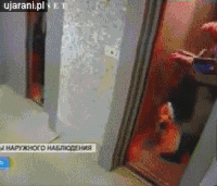 151799260656032.gif