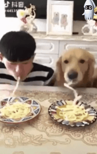 151799262030622.gif