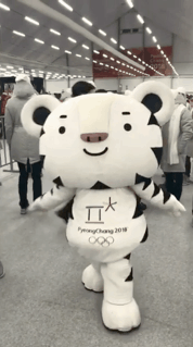 151843962432654.gif