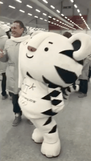 151843964545317.gif