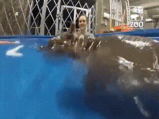 151893024388151.gif