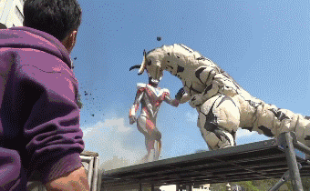 151929985223907.gif