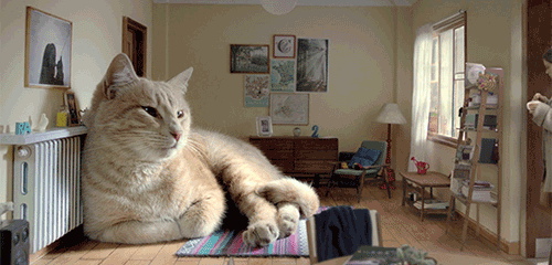151938716876335.gif