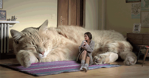151938717099635.gif
