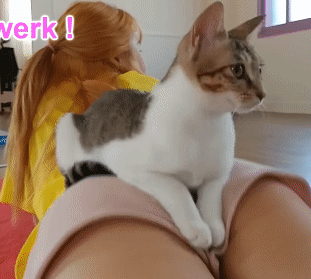 151939285031605.gif