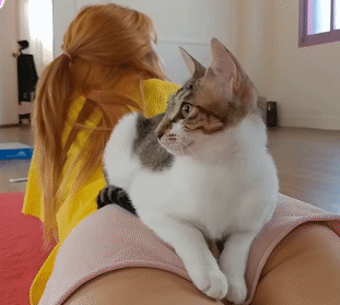 151939443183358.gif