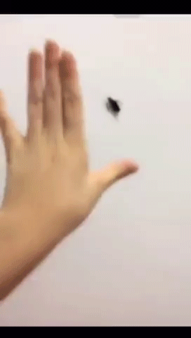 152232987322415.gif