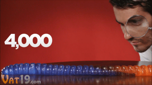 152233010929216.gif