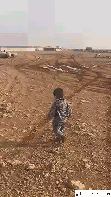 152233068324422.gif