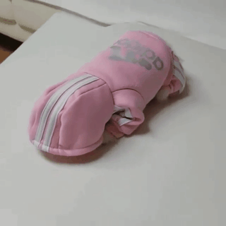152236025340573.GIF